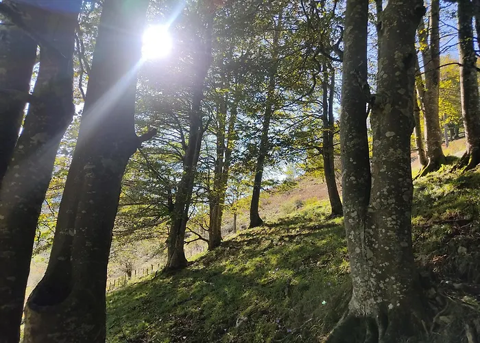 Loma Bonita Holiday home Valdicio